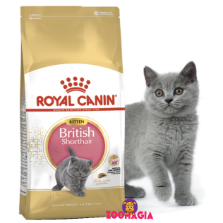 Royal Canin British Shorthair Kitten.  Сухой Корм Роял Канин для котят. Корм для британских котят.  400гр