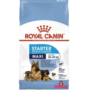 Корм для сук и щенков крупных пород Royal Canin Maxi Starter Mother & Babydog, 4 кг